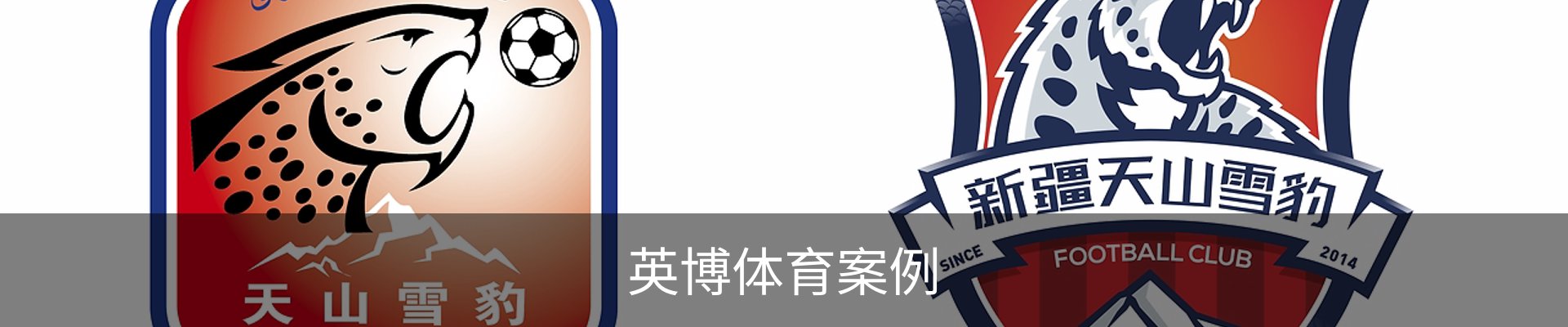 英博体育案例